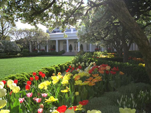 Flowers bloom, April 14, 2003, in the Rose Garden of the White House. (F5839-09)