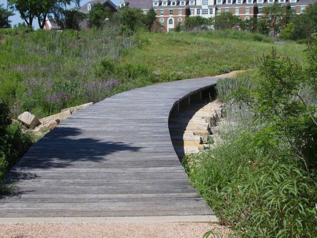 A picture of a bridge constructed over limestone in the Native Texas Park at the George W Bush Library and Museum