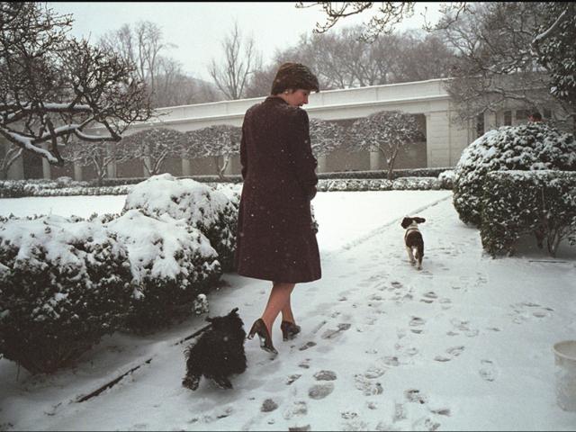 Mrs. Laura Bush Walks through the Snow in the Rose Garden with Barney and Spot on February 22, 2001.