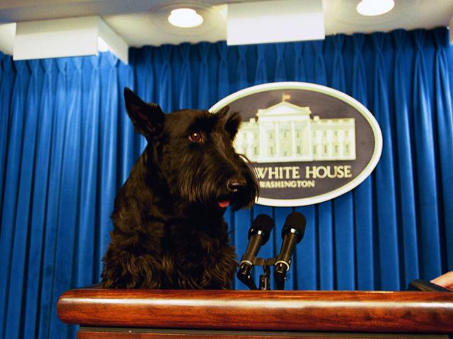 Barney at podium in White House Press Room.