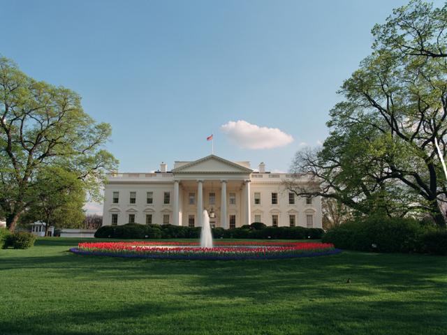 A robin sits on the North Lawn of the White House, April, 17, 2001.