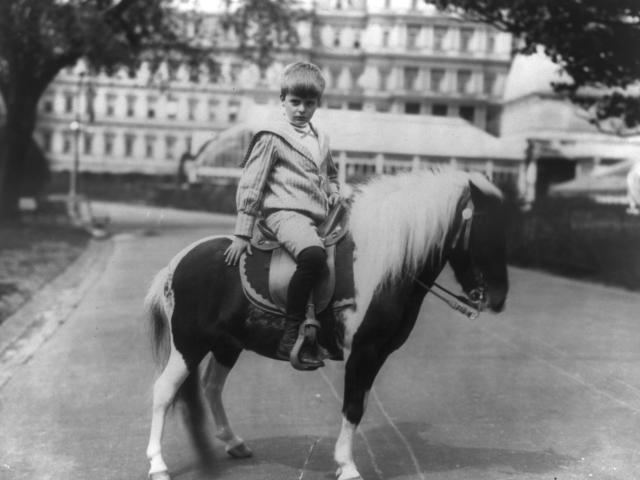 Johnston, Frances Benjamin, photographer. Archie Roosevelt on pony, "Algonquin". Washington D.C, 1902.